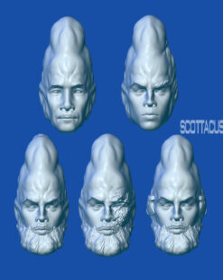 Star Wars black series Scottacus Customs cerean head sculpt stn