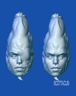 Star Wars black series Scottacus Customs cerean head sculpt stn
