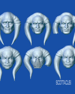 Star Wars black series Scottacus Customs Iktotchi head sculpt stn