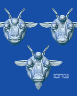 Star Wars black series Scottacus Customs gran head sculpt stn