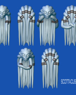 Tendril head - Female