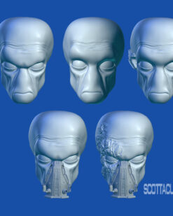 Star Wars black series Scottacus Customs duros head sculpt stn